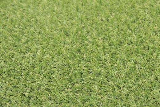 Sztuczna Trawa Star 18 mm