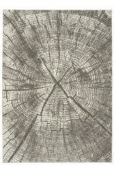 Dywan Versage 2642A grey/grey Szary Pień