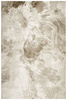 Dywan Garda P0266 Vizon Beż Krem Marmur