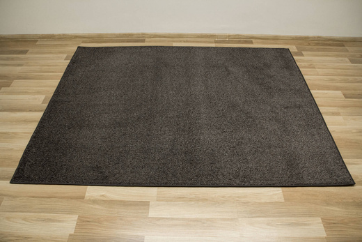 Dywan Carrick-Cove 77 Grafit