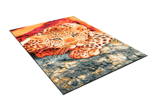 Dywan Rainbow 11123/120 Lampart