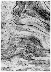 Dywan Shark RC 112 grey