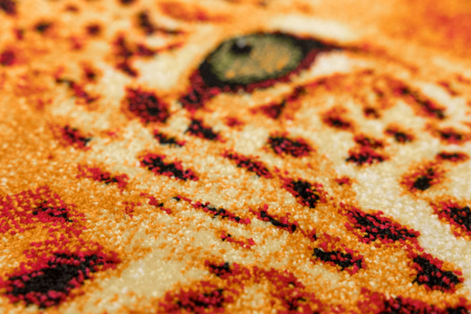 Dywan Rainbow 11123/120 Lampart