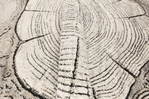 Dywan Matara P156A l.grey/sp.antr Szary Beż Krem Pień