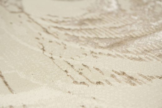 Lśniący Dywan Allora Plus F693A cream/beige Beż Krem Tynk