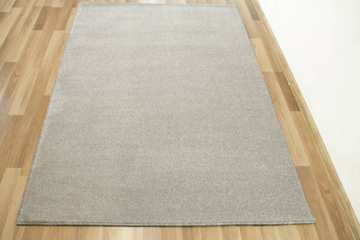 Dywan Birch 73 Popielaty Szary