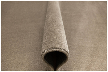 Dywan Sobrado 920 Beż