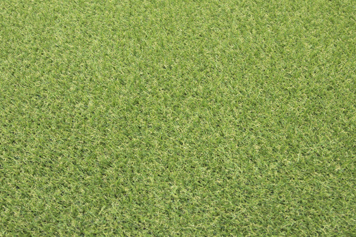 Sztuczna Trawa Star 18 mm