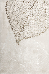 Dywan Factor 50243/261 Cream Listki