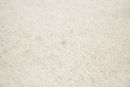 Wełniana Wykładzina Buckingham 69 Jasny Beż szerokość 4 m