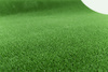 Sztuczna Trawa ASCOT szerokość 80 cm