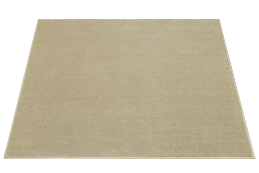 Dywan Lexus 173 Beż