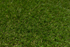 Sztuczna Trawa Bloom 45mm Zielona szerokość 2 m