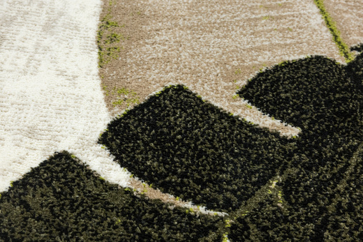 Dywan Clara 02777A cream/olive Zieleń Brąz Liście