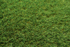 Sztuczna trawa Cuba 38 mm Zieleń szerokość 4 m