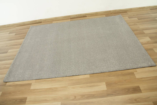 Dywan Birch 73 Popielaty Szary