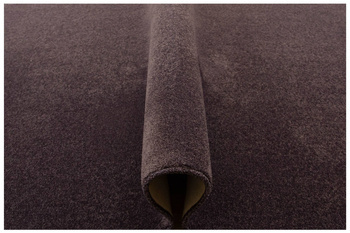 Dywan Alloa-Cloud 15 Fiolet