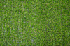 Sztuczna trawa Spectrum 15 mm Zieleń