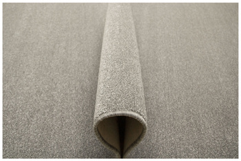 Luksusowy Dywan Phoenix-Classic 74 Szary