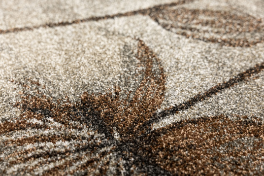 Dywan Ponte N879A l.grey/beige Brąz Szary Kwiaty