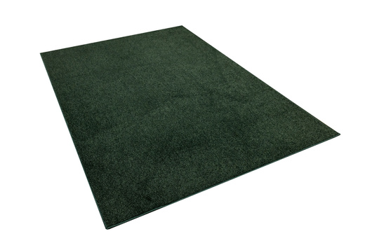 Dywan Destiny 650 Zielony na filcu