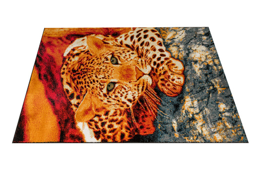 Dywan Rainbow 11123/120 Lampart