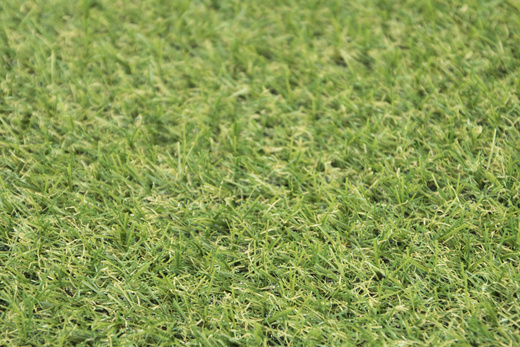 Sztuczna Trawa Star 18 mm