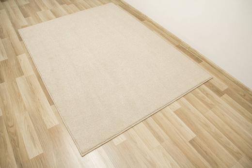 Miękki Gęsty Dywan Sakura 70 Beż Krem Melanż