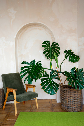 Dywan Dynasty 41 seledyn