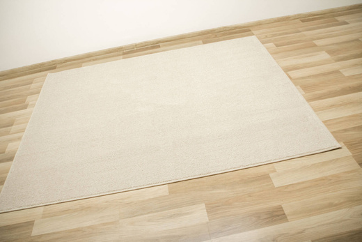 Dywan Birch 62 Beige Krem Beż