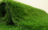 Sztuczna Trawa Haiti Soczysta Zieleń szerokość 2,5 m