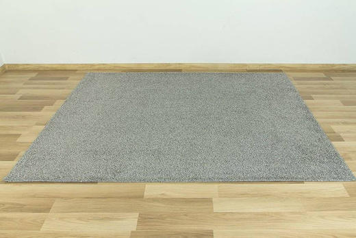 Dywan Sphinx-special 275 szary