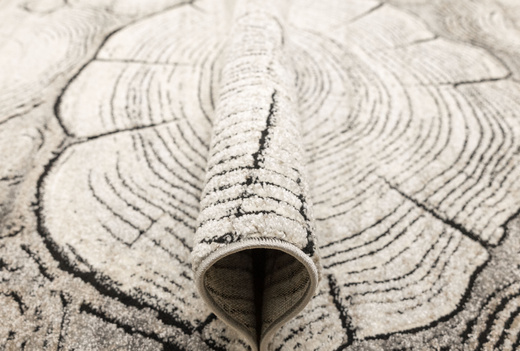 Dywan Matara P156A l.grey/sp.antr Szary Beż Krem Pień