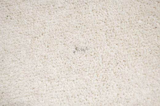 Dywan Buckingham 69 Jasny Beż