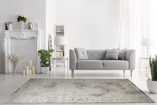 Dywan Nantes NT211A Vizon/Vizon Szarobeżowy Krem Ornament