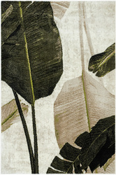  Dywan Clara 02777A cream/olive Zieleń Brąz Liście 