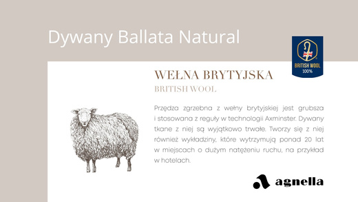 Dywan Wełniany Ballata Natural Corvo Beż Krem Agnella