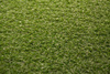 Sztuczna trawa Imperial 3318 Zieleń szerokość 2 m 