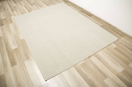 Dywan Birch 62 Beige Krem Beż