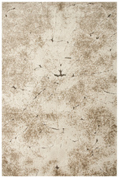 Dywan Fashion 32038/120 Piaskowiec Krem Beż