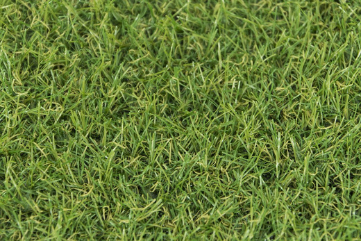Sztuczna trawa zielona Rapid 18mm