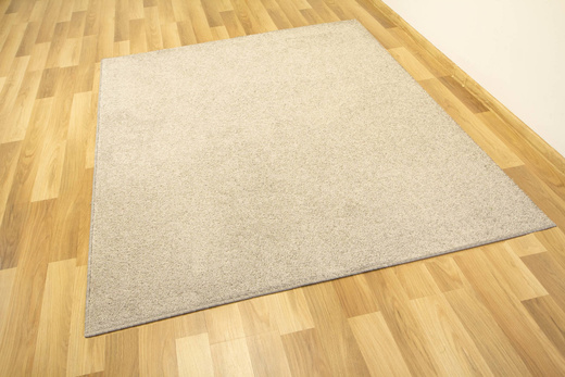 Dywan Bardolino-Flash 174 Szary Srebrny