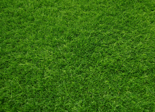 Sztuczna Trawa Haiti Soczysta Zieleń szerokość 2,5 m