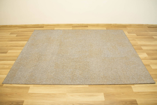 Dywan Pętelkowy Serenity 94 Szaro Beżowy