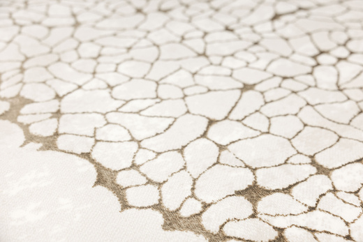 Dywan Factor 50243/261 Cream Listki