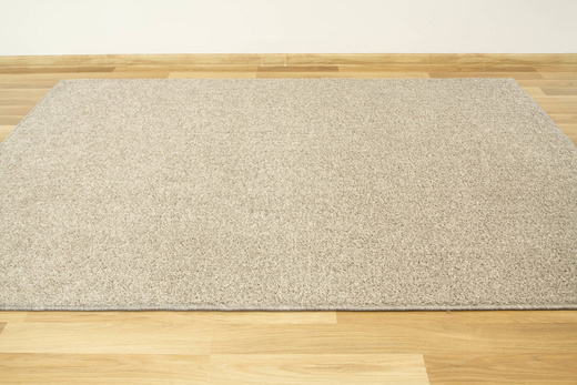 Dywan Bardolino-Flash 174 Szary Srebrny