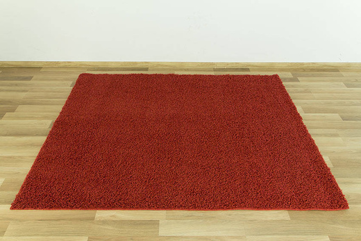 Dywan Shaggy New line 0065 d.red/d.red