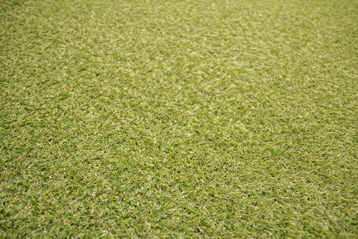 Sztuczna Trawa Teton Zieleń szerokość 1 m