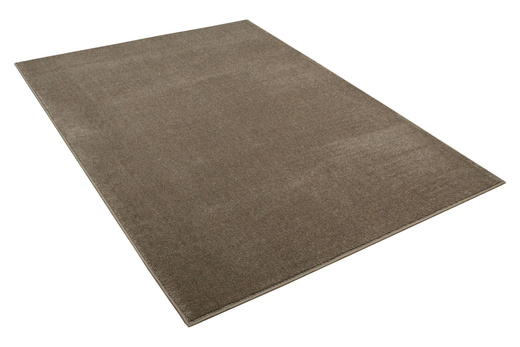 Wykładzina Eternity Speciaal 92 Brąz szerokość 4 m