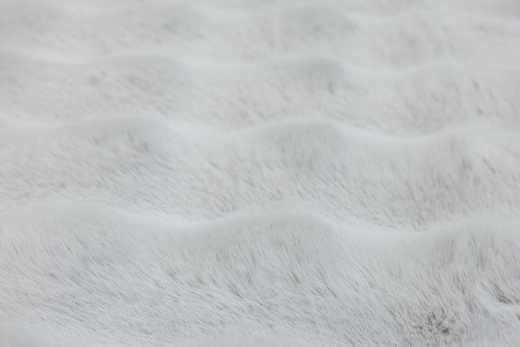 Dywan Oslo Bubble Jasny Szary Rabbit Królik